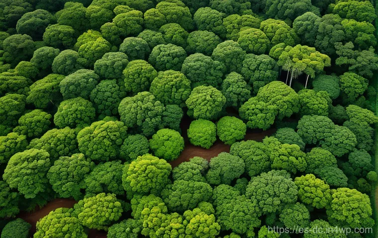기후 변화 대응을 위한 생태계 서비스 활용 - The Silent Green Giants: Tropical Reforestation in Action**

An awe-inspiring, hyper-realistic aeria...