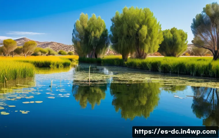 자연 기반 기후 솔루션의 기초 원리 - A vibrant Spanish wetland ecosystem in spring, showing native plants, diverse bird species including...
