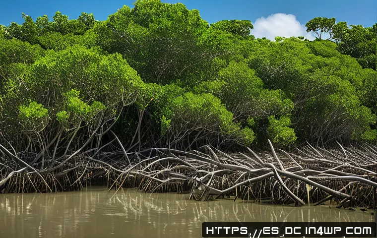 자연 기반 기후 솔루션의 과학적 연구 동향 - A vibrant tropical mangrove restoration project along the Mexican coastline, showcasing dense cluste...