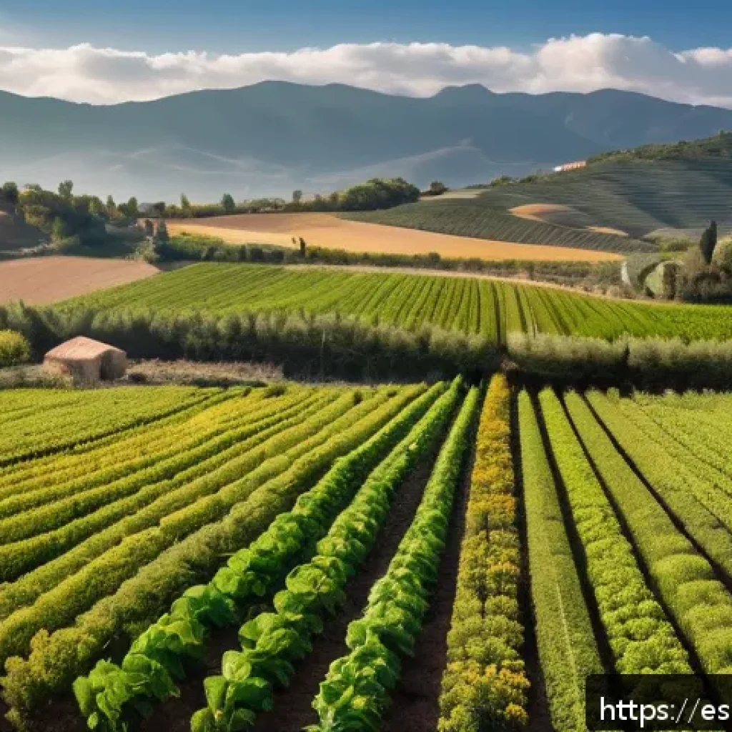 기후 변화에 대응하는 자연기반 농업 기술 - A vibrant, sunlit organic farm in a rural Spanish countryside setting, showcasing diverse crop rotat...