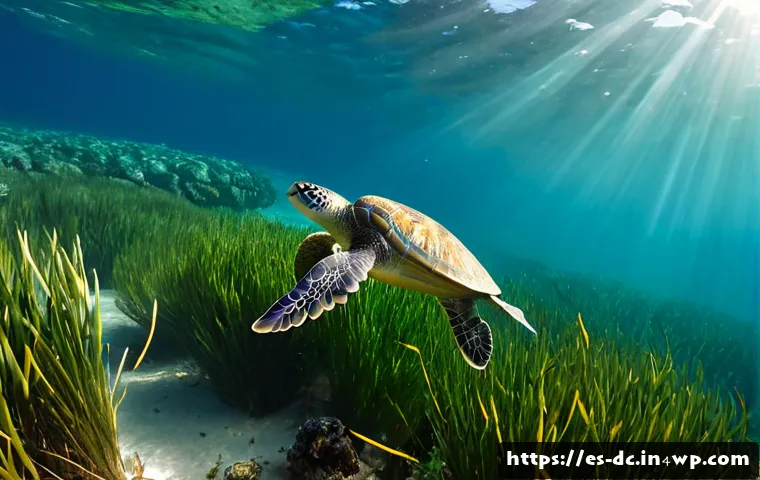 해양 생태계를 통한 기후 변화 대응 - Photorealistic wide underwater scene of a thriving Mediterranean seagrass meadow near the Spanish co...